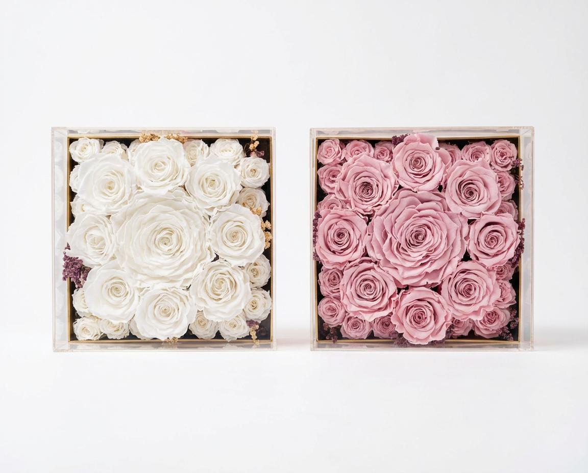 Two acrylic boxes filled with white and pink preserved roses on a white background