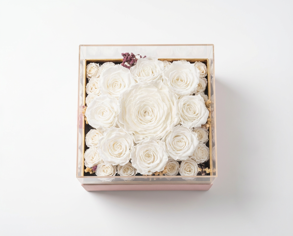 Box of white preserved roses on a white background
