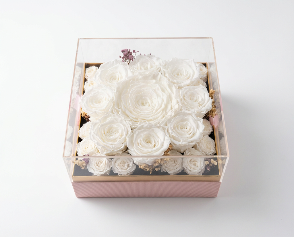 Clear box with white preserved roses on a light background