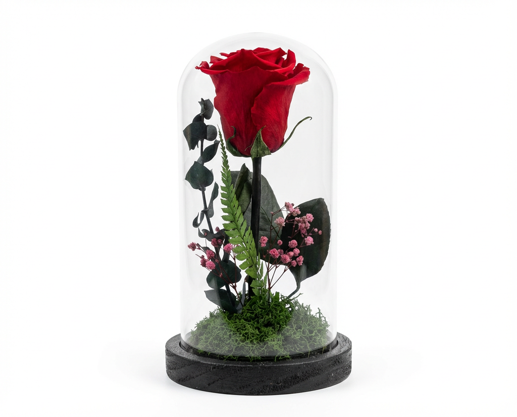 Large Preserved Rose in Glass Dome with LED Lights