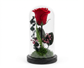 Large Preserved Rose in Glass Dome with LED Lights