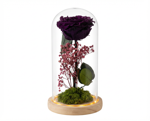 Giant Preserved Rose in Glass Dome with LED Lights