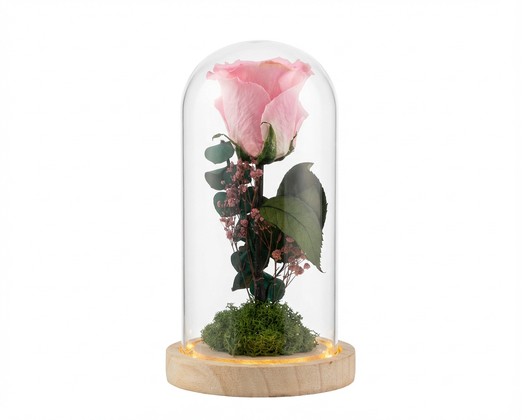 Large Preserved Rose in Glass Dome with LED Lights