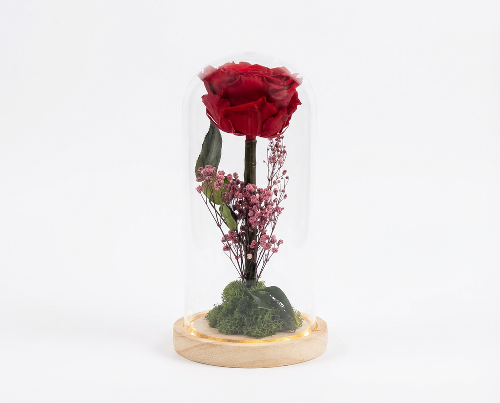 Giant Preserved Rose in Glass Dome with LED Lights