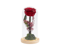 Giant Preserved Rose in Glass Dome with LED Lights