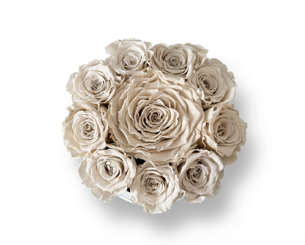 Preserved Roses Round Box With A Signature Giant Rose