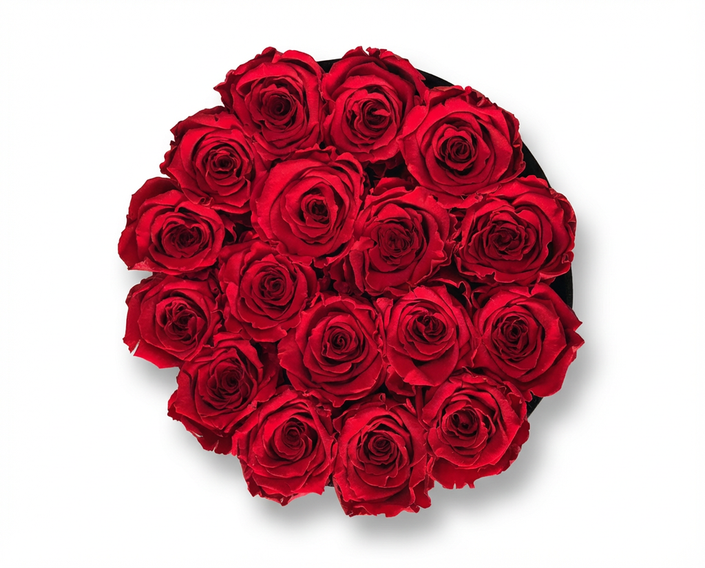 Preserved Roses Round Box – Large
